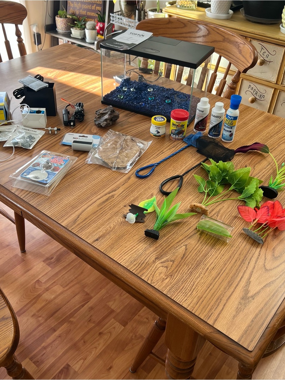 3 gallon aquarium kit